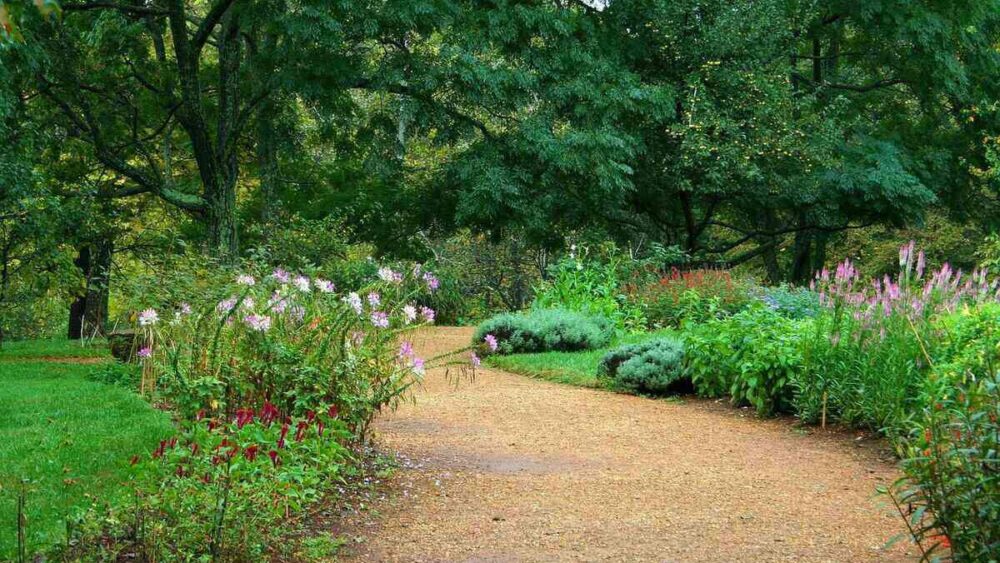 Sustainable Landscaping Ideas for Eco-Conscious Homeowners