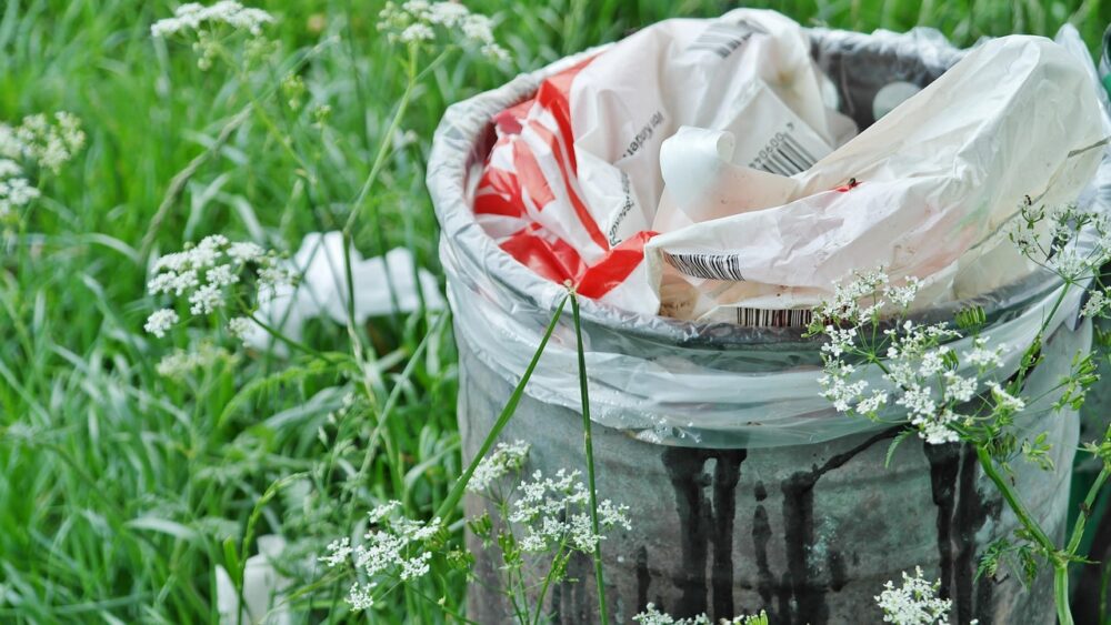 Genius Ways to Upcycle Your Way to a Greener Garden