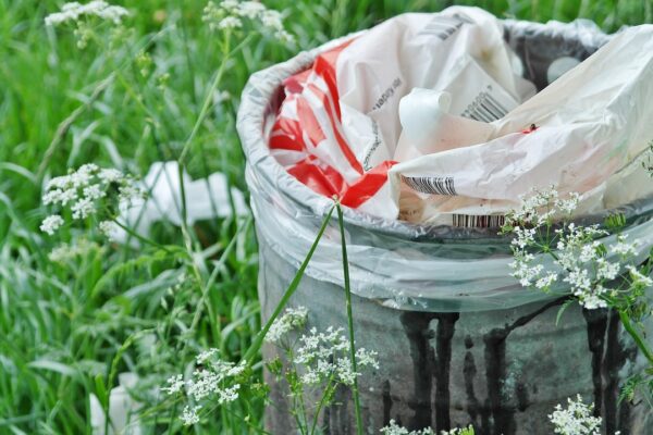 Genius Ways to Upcycle Your Way to a Greener Garden