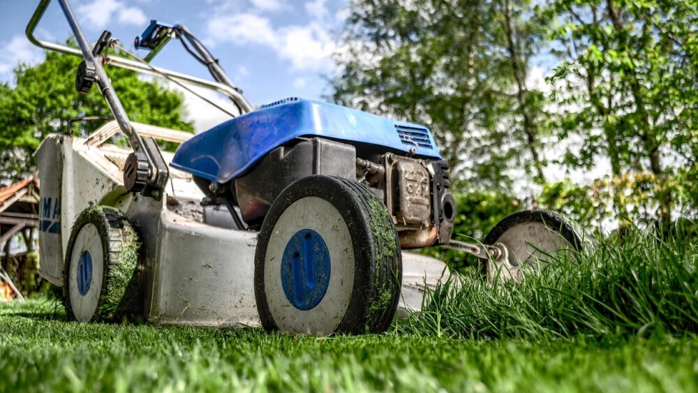 How to Create a Low-Maintenance Garden with Smart Material Choices