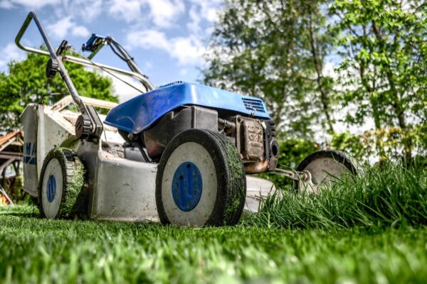 How to Create a Low-Maintenance Garden with Smart Material Choices